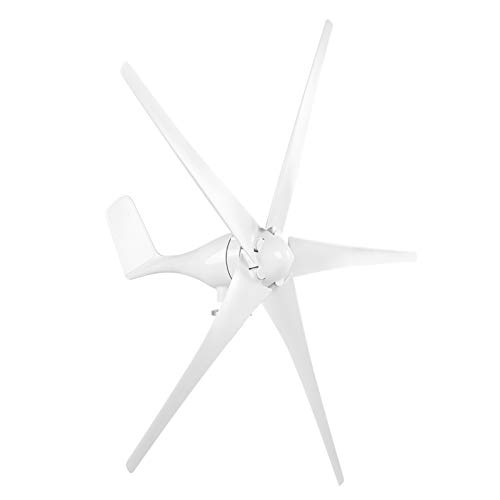 Hilitand 800W Windmill Generator 5 Blade Small Wind Turbines Kit Industrial Energy Equipment (White 12V), Dynamo