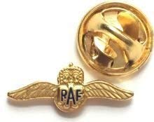 Piccole ali militare raf, lapel badge