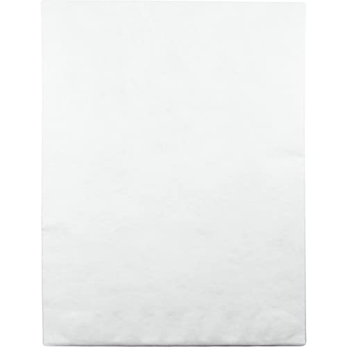 Quality-Park-Tyvek-Jumbo-Survivor-Envelopes