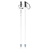 HEAD Unisex-Youth Worldcup SL JR Skistöcke, White/Black/Speed Blue, 090