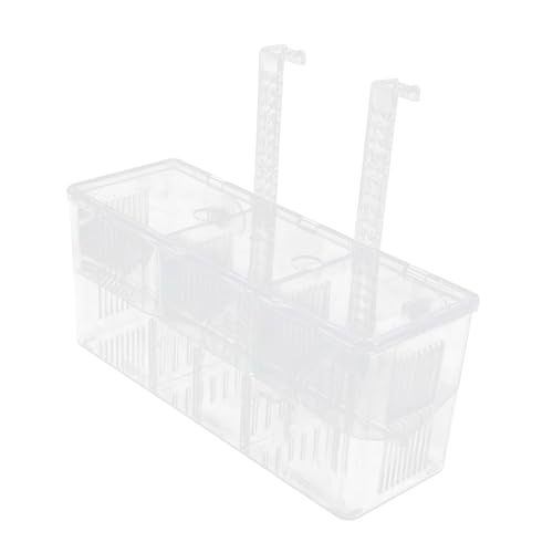 OUNONA  CLx[V{bNX  ঒ ANA A ̐ lbg ̎^N ۗL Obs[  v[ 傫Ȑ Lbg vX`bN 