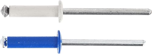 Restagraf - Rivets Épanouis Bleus, Blancs pour Plaques d'Immatriculation - Diamètre 4 mm - Longueur 26 mm - Réf. 225107 - Blister de 8, Gris/Bleu