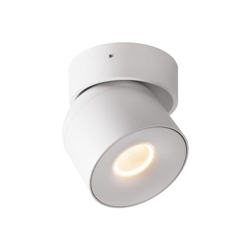 Aisilan LED Dimmable Ceiling Spotlight, Adjustable Directional Surface Flush Mount Lighting, Wall Spot Lights Indoor Accent Fixture for Art Picture Gallery Paintings, 3000K, White, 15W
