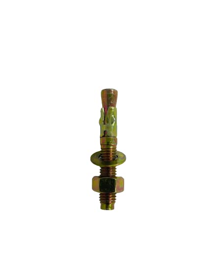 RACO GI Concrete Anchor Bolt, Expansion Shielded Through Bolt (1, 10x100)