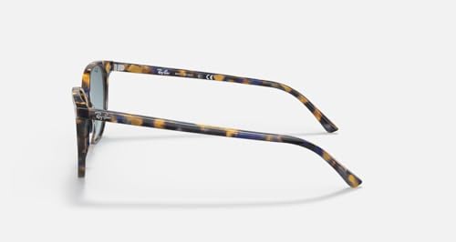 Image of Ray-Ban Sunglasses for Women & Men Elliott RB2197F Non Polarized Sunglasses | Ray-Ban Sunglasses for Men & Women - Low-Bridge, Unisex Designer Sunglasses - Crystal Standard or Polarized