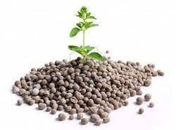 Seeds Basket Organic Bio-Fertilizer NPK Granules For All Plants And Gardening Purpose Water Soluble Perfect to Use on All Plants and Gardening| 100 GM | (B0BTWJH4LM) Amazon Price History, Amazon Price Tracker