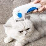 Pente Elétrico Antipulgas para Cães, Gatos e Pets | Remove Pulgas, Piolhos e Lêndeas com Eficiência