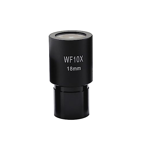Oculaire microscope 23.2mm à large champ optique pour modèle biologique