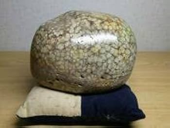 Amazon.co.jp: ベージュ・花紋1.9kg 錦石 花紋石 菊紋石
