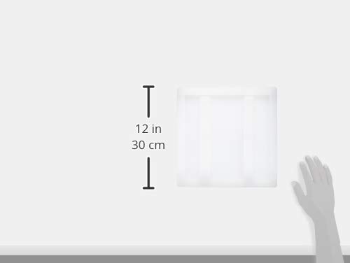 Amazon｜山県化学 押し枠 24cm 大 (押し寿司型) ポリエチレン 日本製