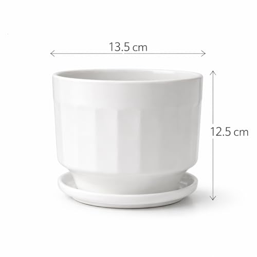 Image of Xtore Minimal Ceramic Ribbed Planter with Base | Compact Plant Pot for Desk, Window & Shelf Decor - (White, 1 Piece, Planter ONLY)