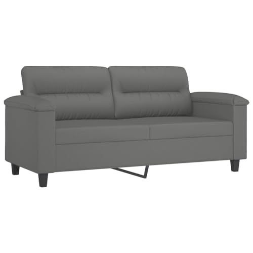 vidaXL Sofá de 2 Plazas, Asiento con Reposabrazos Respaldo, Sillón de Descanso Televisión, Sofá Tapizado para Salón, Tela de Microfibra Gris Oscuro