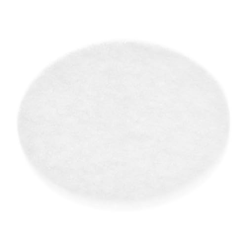 105(5)CEzCE24ԊCtB^[