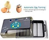 Upgraded Egg Incubator Automatic Incubator YZmoffer Digital Fully Automatic 12 Eggs Incubator for Chicken Eggs, Poultry Hatcher for Chickens Ducks Goose Birds (Black-12eggs)