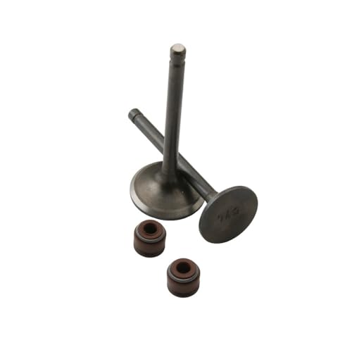 Soupapes YBR125 et pièces de moteur 5VL-E2121-00 pour moto XT125R YB125SPD
