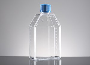 250 mL - Falcon Tissue Culture Flasks, Sterile, Corning