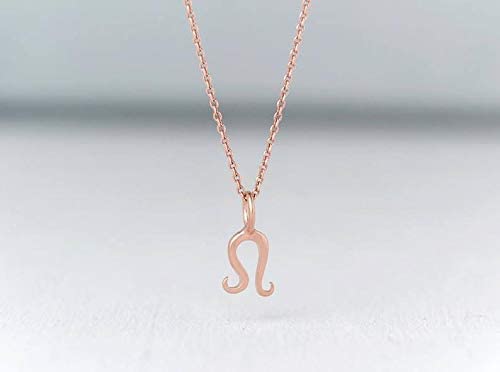 Miniatura 3 de Gold Zodiac Sign Necklace 14 Tiny Solid Gold Personalized Pendant Charm 9k 18k Yellow White Rose Virgo Leo Gemini Minimalist Gift Thalassajewelry