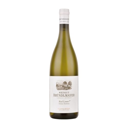 Bründlmayer Ried Lamm 1.ÖTW Grüner Veltliner: Vino Blanco Premium del Kamptal Bründlmayer Ried Lamm 1.ÖTW Grüner Veltliner: Vino Blanco Premium del Kamptal