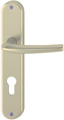 Poignée sur plaque champagne - Condamnation - 217 mm - San Diego - Hoppe et cie