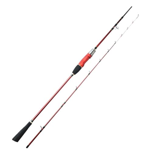 Canne à pêche calmar max 120g pour lancer de rotation lourd - 2