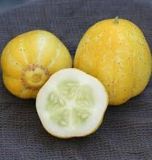 30 Seeds- Organic All Seasons Lemon Cucumber Seeds-image-44
