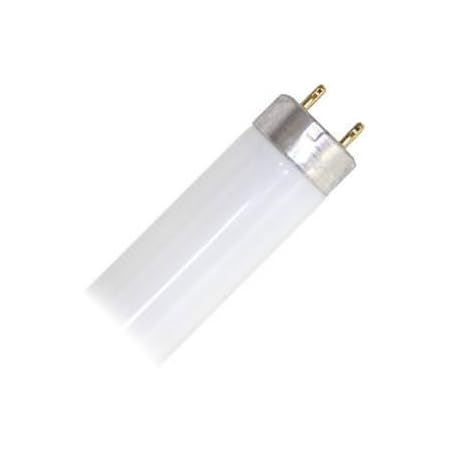 GE F32T8/SPX50/ECO2 Fluorescent Tube - Case Of 36, 32-Watt, 5000K Daylight, 48-inch T8 Bulbs - View #13