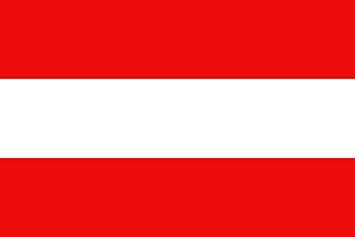 Drapeau Bourgogne Habsbourg grand format pour décoration murale et reconstitution - 2