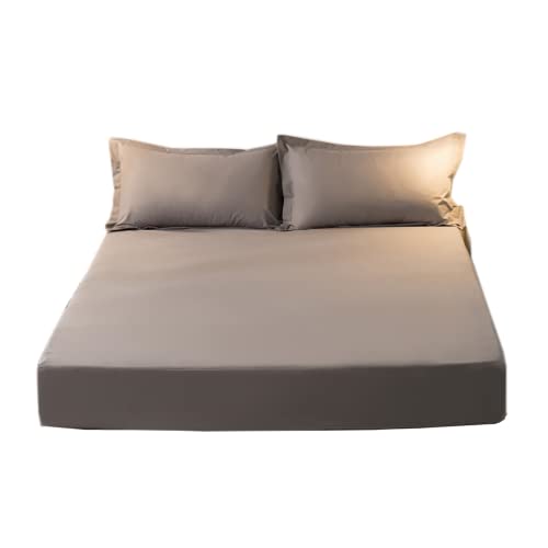 {bNXV[c h^Cv _u ˂V[c ʂSh hV[c h xbhV[c }bgXJo[ s[`XLH \ (_u, O[)