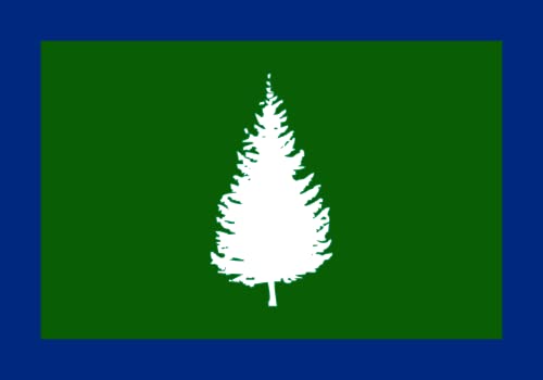 Drapeau large Superior Proposal au design premium Superior State - 2