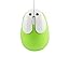 Green Rabbit
