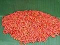 Tinian Pepper