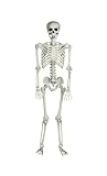 Aweilan 5.4 Ft Halloween Life Size Skeleton Full Body Human Bones with Movable Joint for Halloween PartyHaunted House Accessories, Spooky Scene Party Prop Decoration
