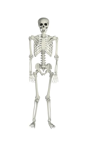 Aweilan 5.4 Ft Halloween Life Size Skeleton Full Body Human Bones with Movable Joint for Halloween PartyHaunted House Accessories, Spooky Scene Party Prop Decoration