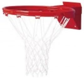 Gared Playground 5500 Double Ring Breakaway Basketball Goal from