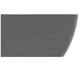 Ideal Standard - i.life B, Bidet sospeso, Con foro per la rubinetteria, Con foro per il troppopieno, Grigio lucido