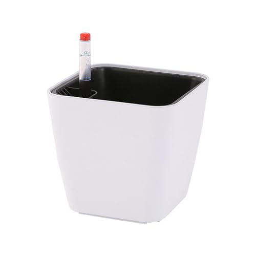 Ziociura ʃCWP[^[tPPAؔAؔ, 