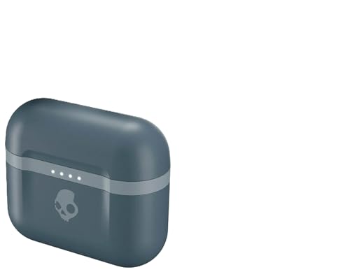 Skullcandy Indy Evo True Wireless in-Ear Headphones Gray