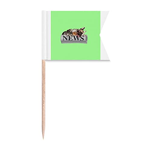 Rollo Periódico Pet Group Art Deco Regalo Moda Palillo Banderas Etiquetado para Fiesta Pastel Alimentos Queso