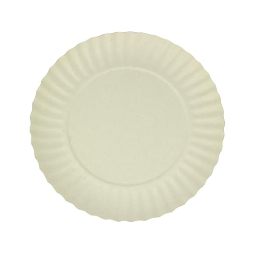 Prato De Papelão Pinho N° 02-100 Unidades