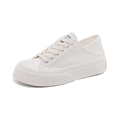 [_LV] Xj[J[ fB[X    H~ C [XAbvV[Y [Jbg n 24.0cm LoX C LoXXj[J[ ^C JWA Vv l 킢 NbV Xj[J[ y ʋC zCg