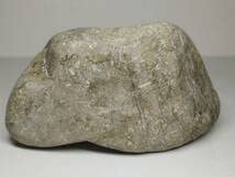 高透過 ・ラベ 236g 翡翠 ヒスイ 原石 鉱物 鉱石 鑑賞石 自然石 誕生石 高透過 ・ラベ 236g 翡翠 ヒスイ 原石 鉱物 鉱石 鑑賞石 自然石