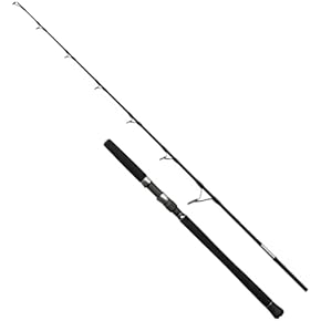 Amazon.co.jp: ジギングロッド - ロッド・竿: スポーツ＆アウトドア