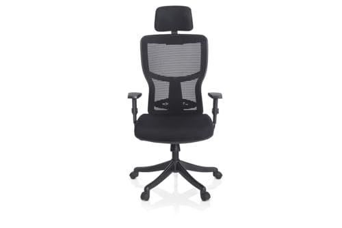 Image of Ergoline Abs with Mesh Ergo HB ML Office Chair, Mesh Ergonomic Office Chair for Work from Home,Adjustable Lumbar Support, Gaslift & Headrest with Adjustable Arms