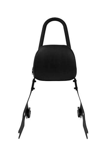 Coussin siège dossier arrière moto amovible pour Sportster 883 1200