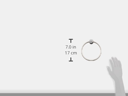 Amazon | TOTO タオルリング ステンレス製 YTT406 | タオルリング