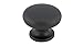 Richelieu Hardware BP486900 Contemporary Metal Knob-486, 2 3/4-in, Matte Black