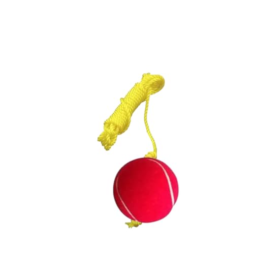 Image of Red Tennis Hanging Cricket Ball 3 Meter Yellow String (1)