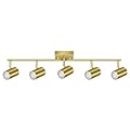 BoostArea 5 Light Track Lighting Fixtures Ceiling, Gold Kitchen Lighting Fixtures Ceiling, LED Track Lighting Kit, Rotatable Light Heads, Modern Track Lights for Kitchen/Living Room/Hallway, No Bulb