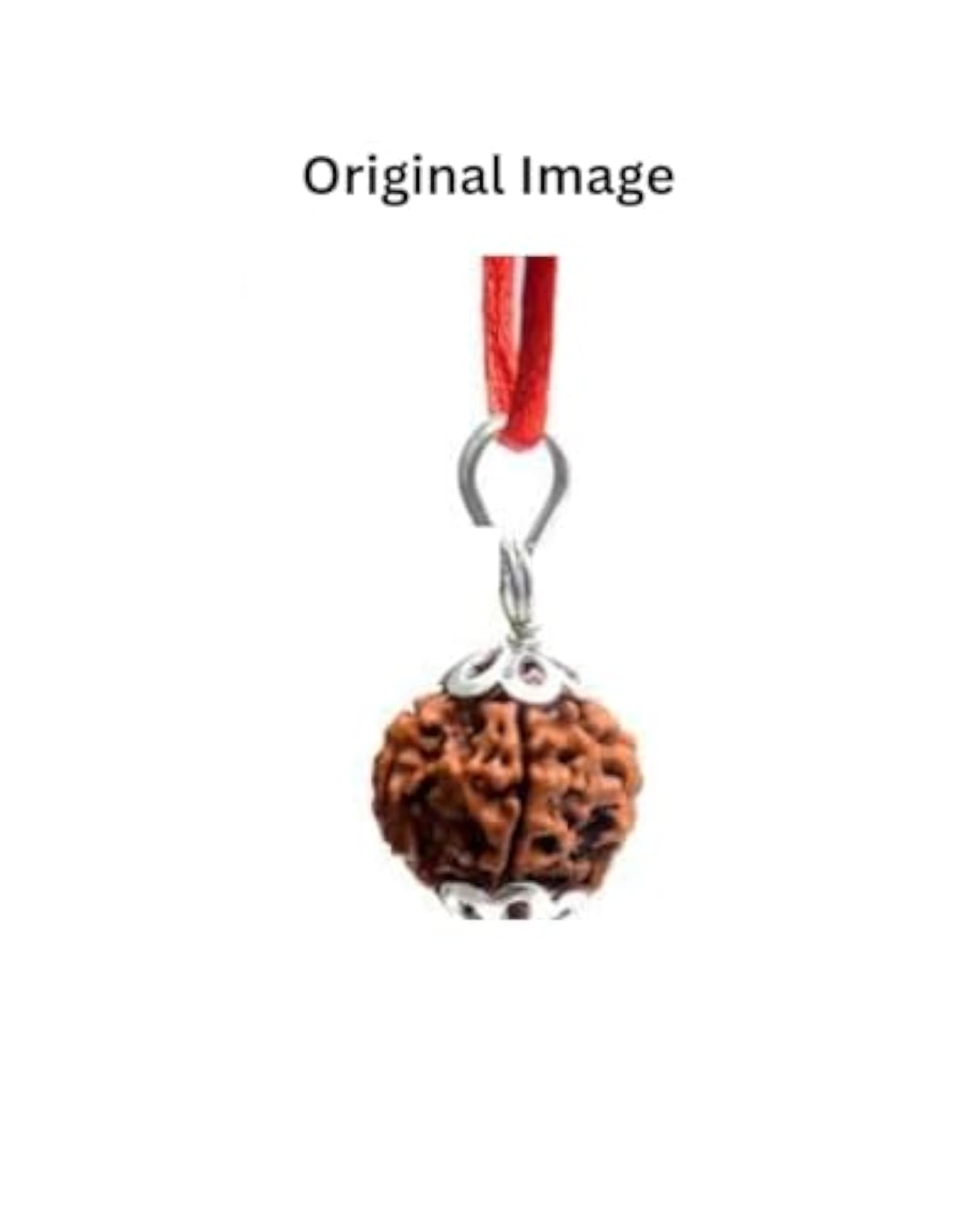 Natural Rudraksha Prayer Bead Pendant with Sterling Silver Cap