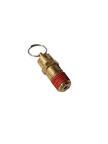 TSI Cheetah Bead Seater Safety Release Valve